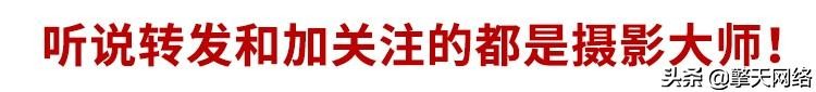 零基础学摄影后期1000分钟干货,有关摄影后期技巧的网站