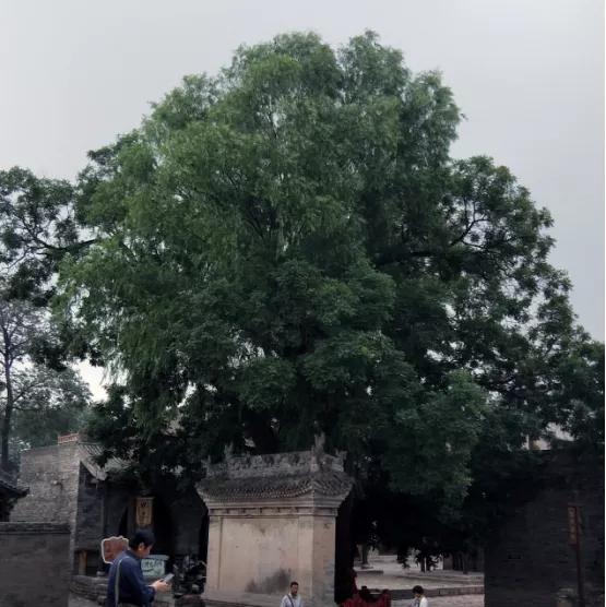 华夏古文明山西好风光的理解,华夏古文明山西好风光汇总