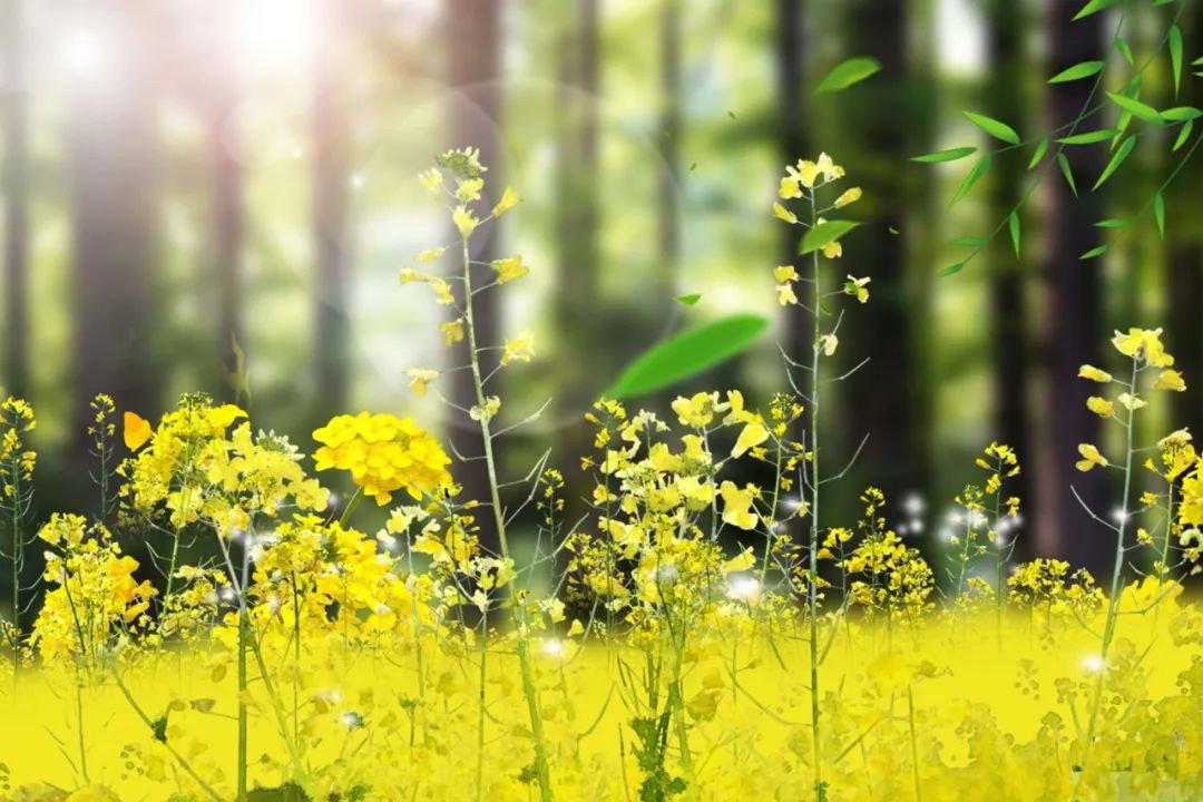 35岁才读懂的7首诗,六字居家隔离诗