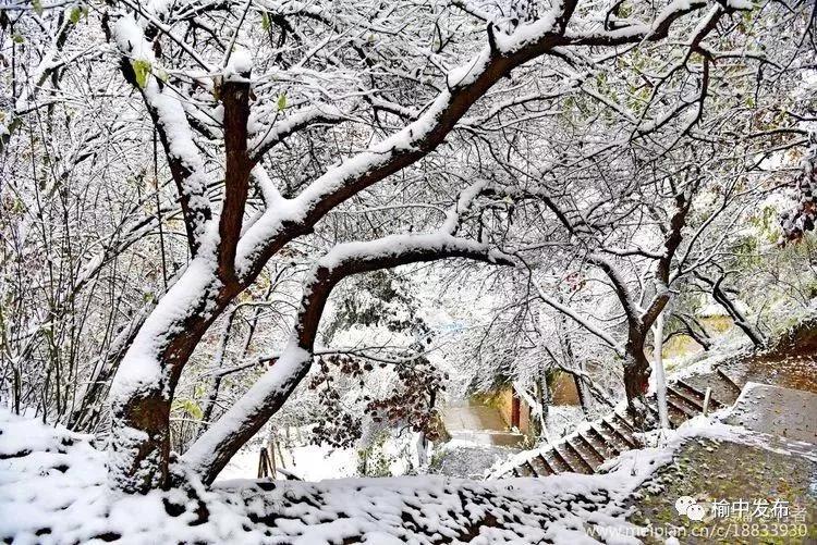 兰州市玻璃栈道,兰州玻璃栈道最长多少米