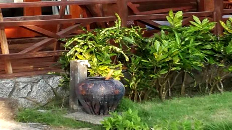 缅甸维桑海滩日出,缅甸仰光到维桑路况