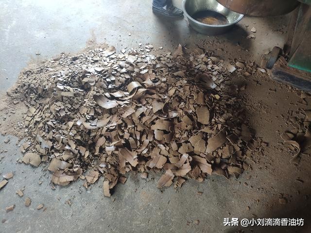 菜籽饼打窝能钓什么鱼,菜籽饼打窝用什么饵挂钩