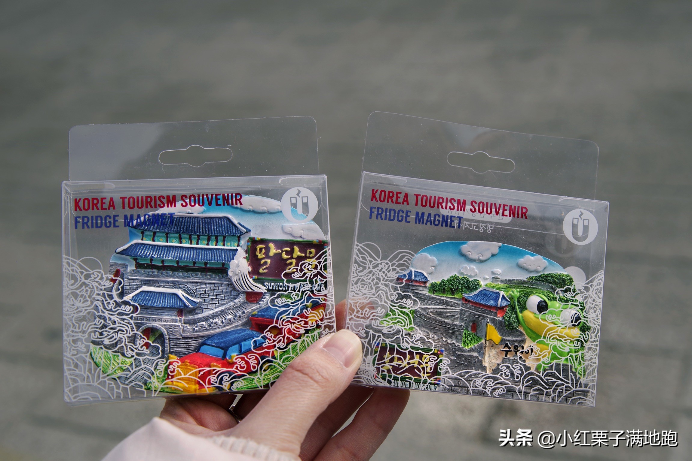 疫散花开张家界,疫散花开欢迎归来