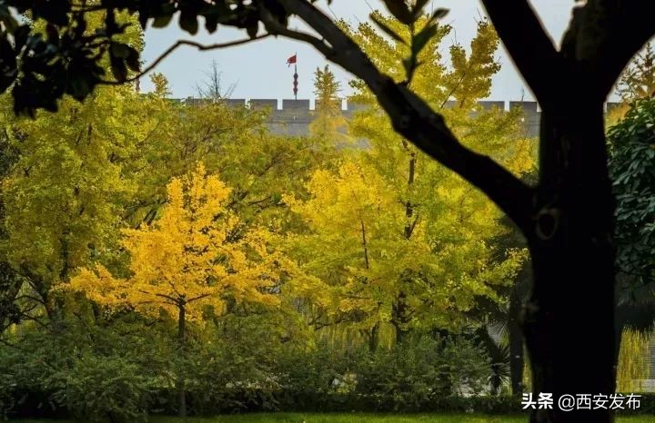 西安赏秋,西安赏秋红叶好去处