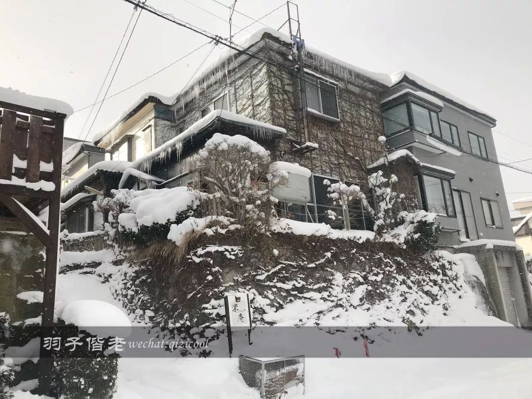 老实说，这一趟北海道就是为了拍好看的照片去的