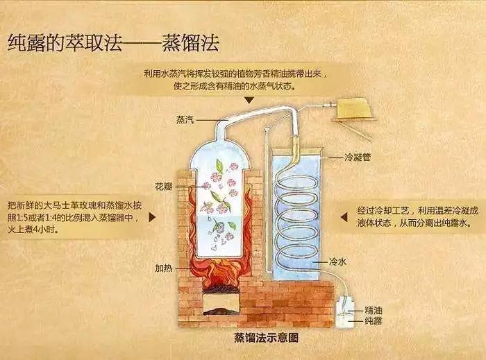 玫瑰精油纯露哪个牌子好,比精油好的护肤品
