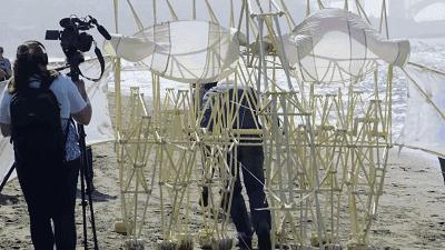 涓変簹娌欐哗閬涘▋,娌欐哗鏁ｆ娉宠