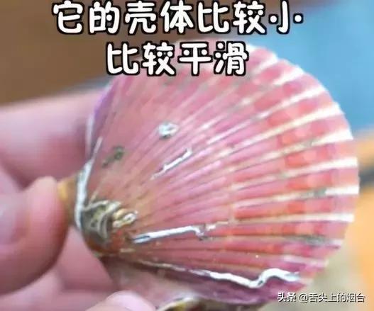 烟台海鲜小杂鱼批发,烟台海鲜自提