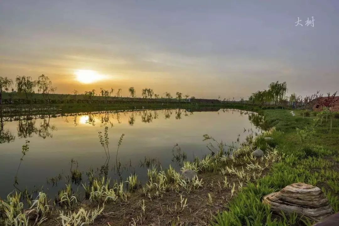 沣河往事，我的爷呀，我的河