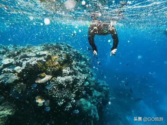 这个国家超过一半人会说中文，海鲜白菜价，简直秒杀泰国！