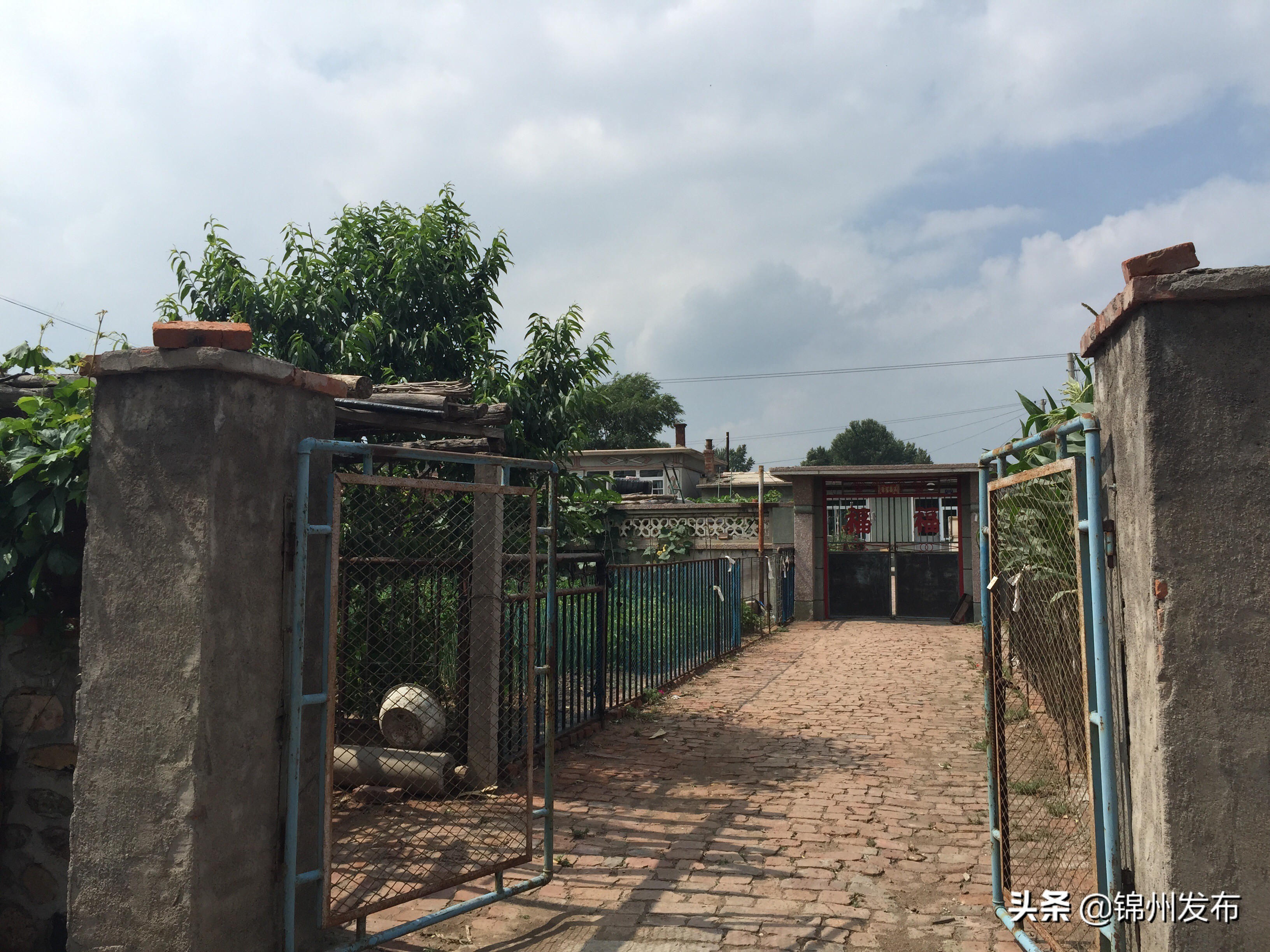 寻找抗日战争烈士遗骨,寻找烈士后人抗战