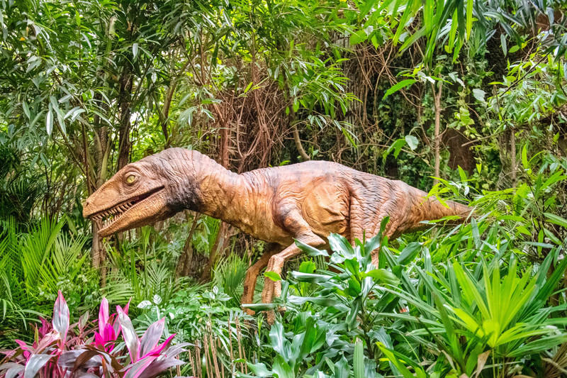 广州长隆野生动物世界旅游攻略,长隆野生动物世界攻略2-3天广州游