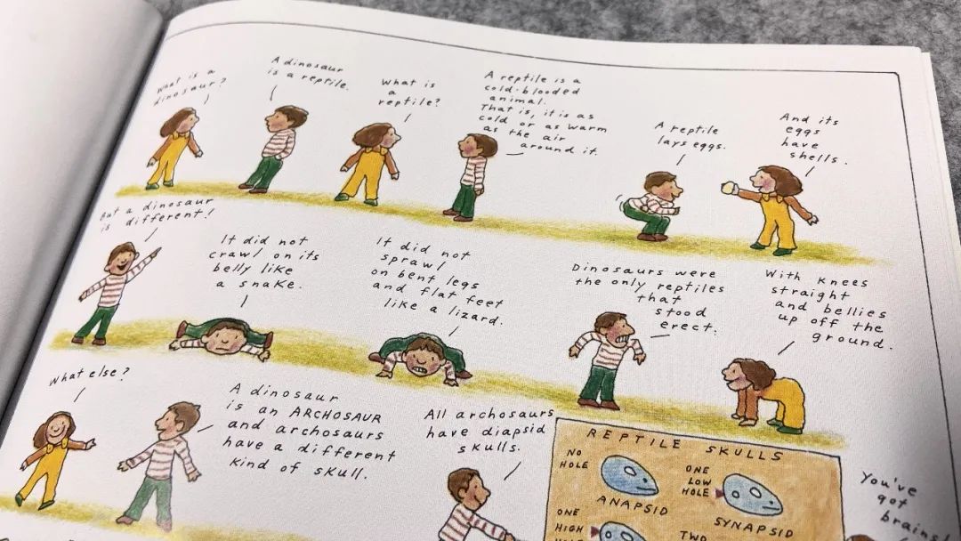 探秘恐龙世界关于恐龙的资料,恐龙世界科普知识