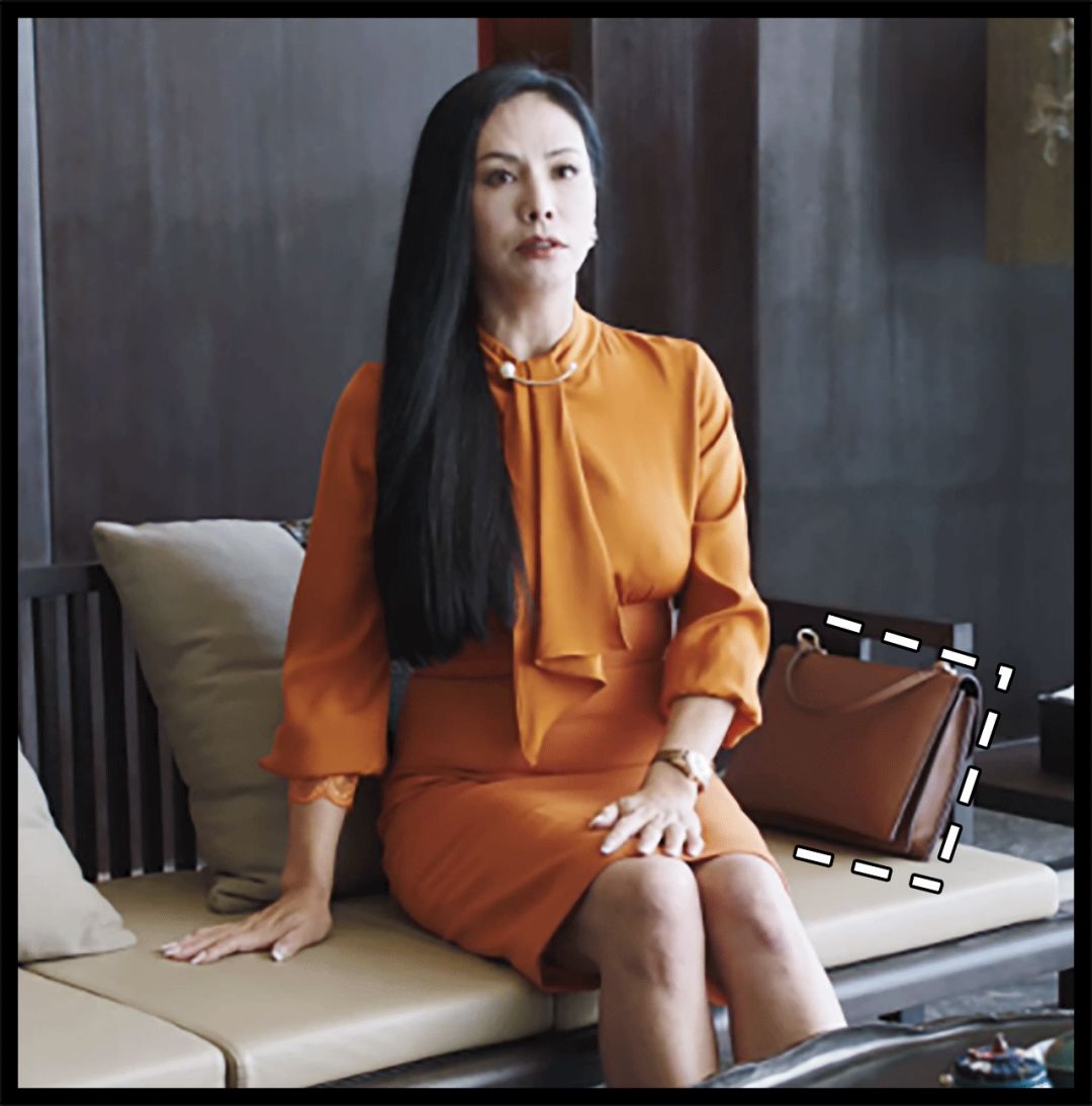 苏家女人买东西,苏家女士包包