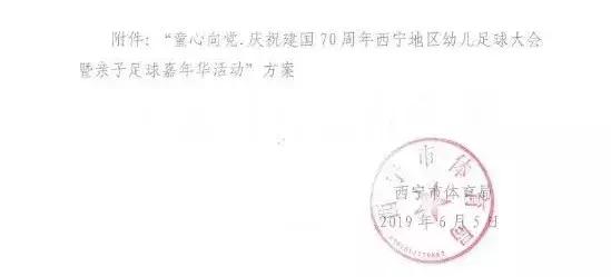 沙区市幼儿足球嘉年华,武汉市幼儿足球嘉年华