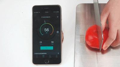 304不锈钢家用加厚防霉砧板,304不锈钢切菜板防霉砧板