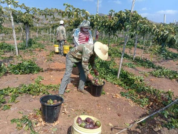 贫困户脱贫的几点思考,贫困户脱贫致富之路