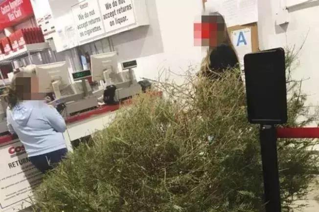 中国大妈超市抢货视频,被中国大妈抢购的国家