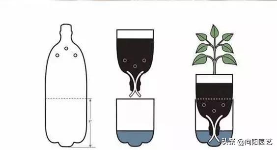 自制夏天自动浇水简易装置,自制室内无人自动浇水神器