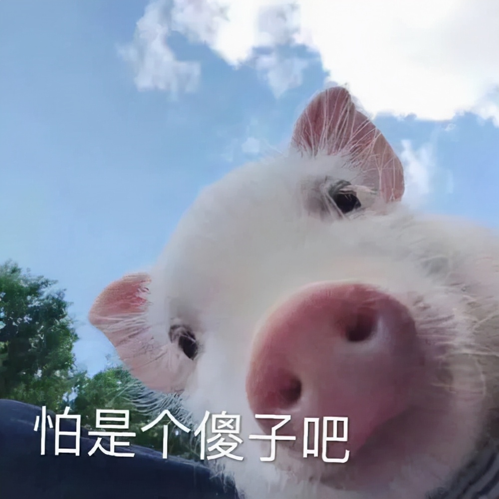 揭阳佛系美甲美睫师,揭阳佛系老板