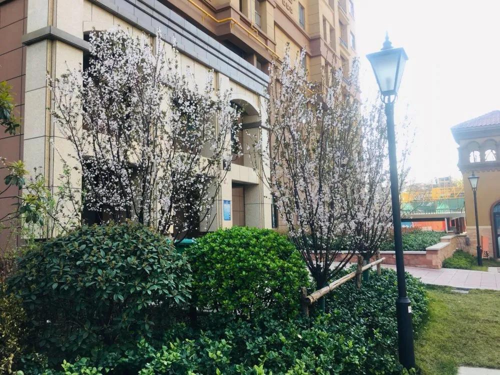 中南广场二期十号楼,中南广场两梯