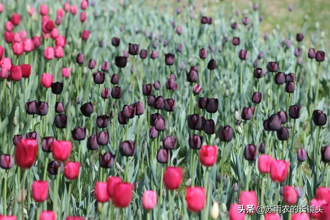 北京十年美景,北京深处不可不看的60处风景