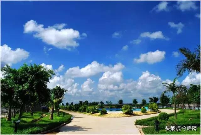 中国生态宜居后花园—北海！候鸟族眼中的“人居天堂”