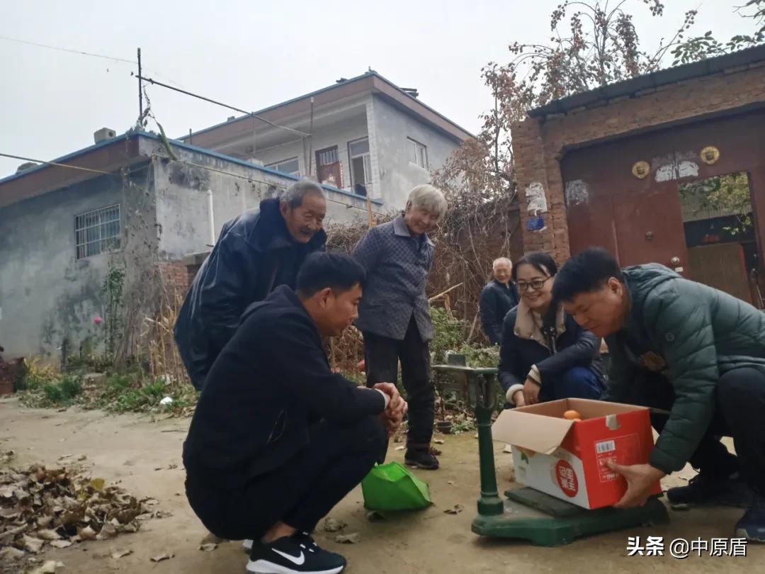 【我为群众办实事】淇县：秋末柿子红检民情意浓