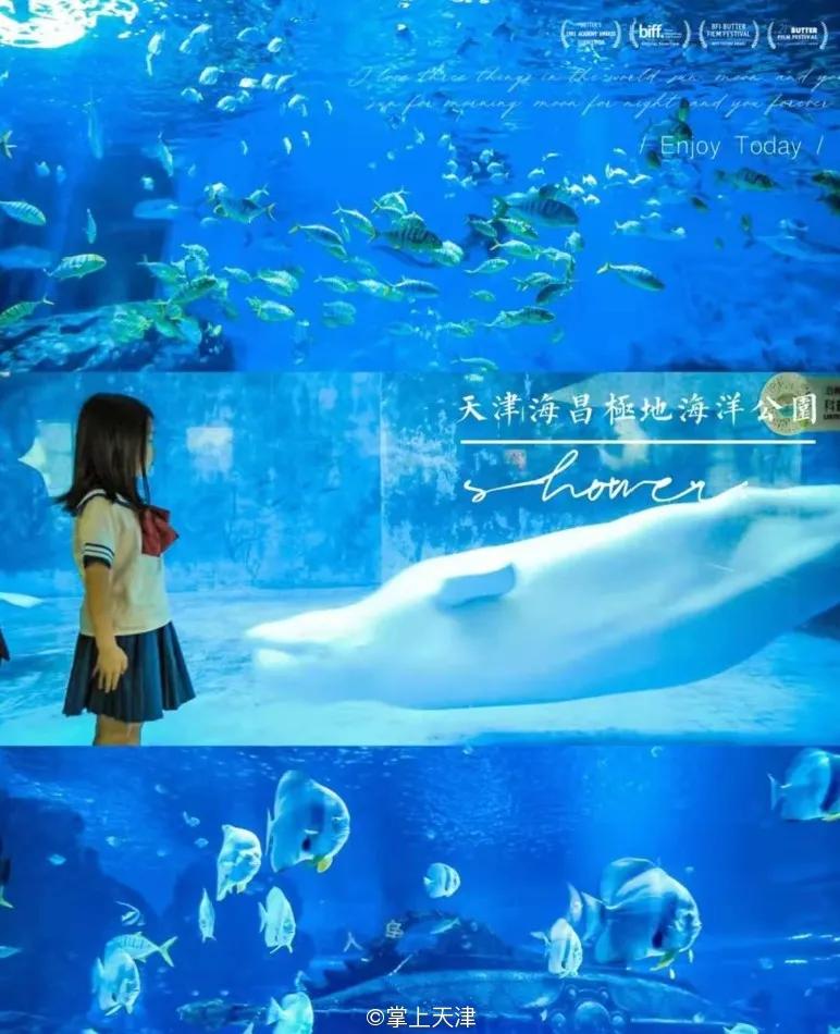 天津海昌极地海洋世界年票,天津海昌极地海洋99票价真实性