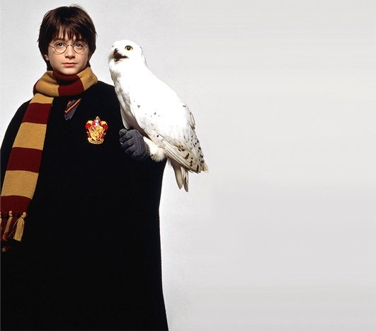 哈利波特十大最受喜爱人物,哈利波特中最受欢迎的10个人物