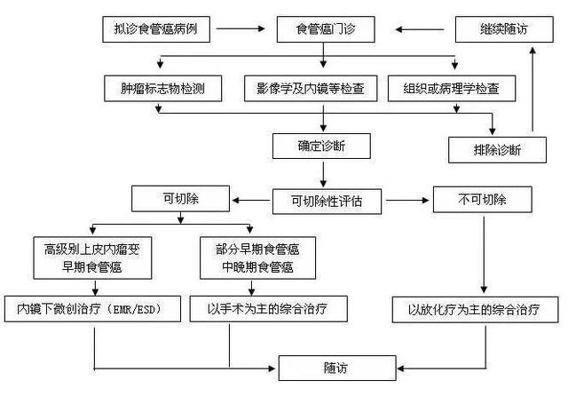 食管癌诊疗规范（2018年版）