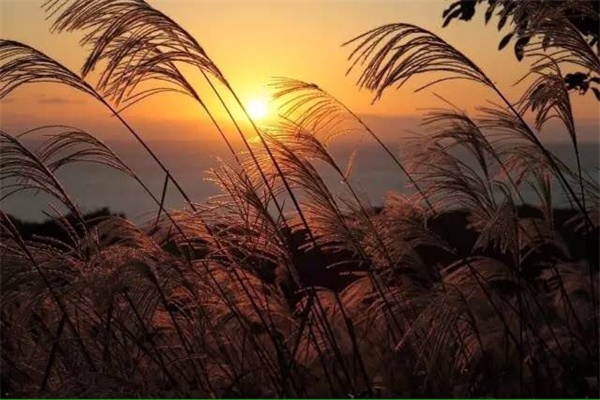 瑗垮北宀涢噾婊″涵,鑻忓窞瑗垮北宀涢噾婊″涵