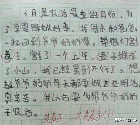 小学生错别字形成原因及对策,小学生错别字解决方法