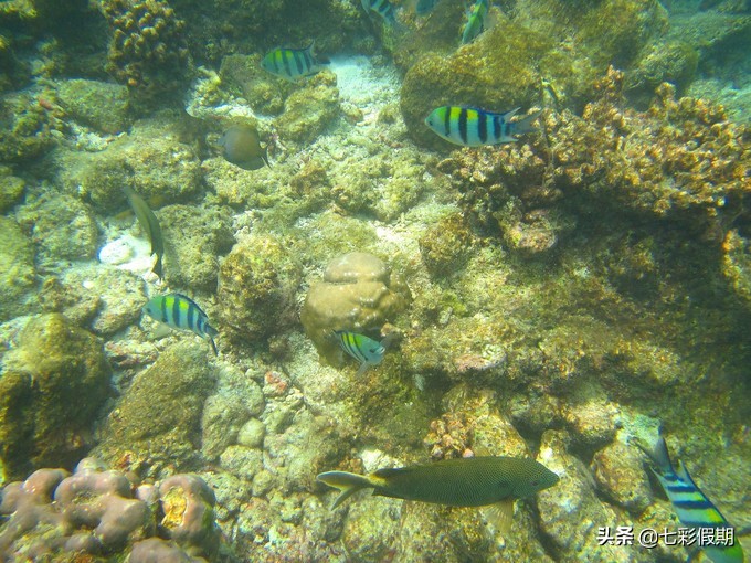 月薪5k能去哪个国家玩,月薪2k都能浪漫海岛旅行