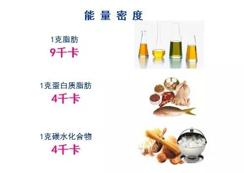 营养专家于康建议吃哪几种油最好,孩子哪种食用油不可以吃