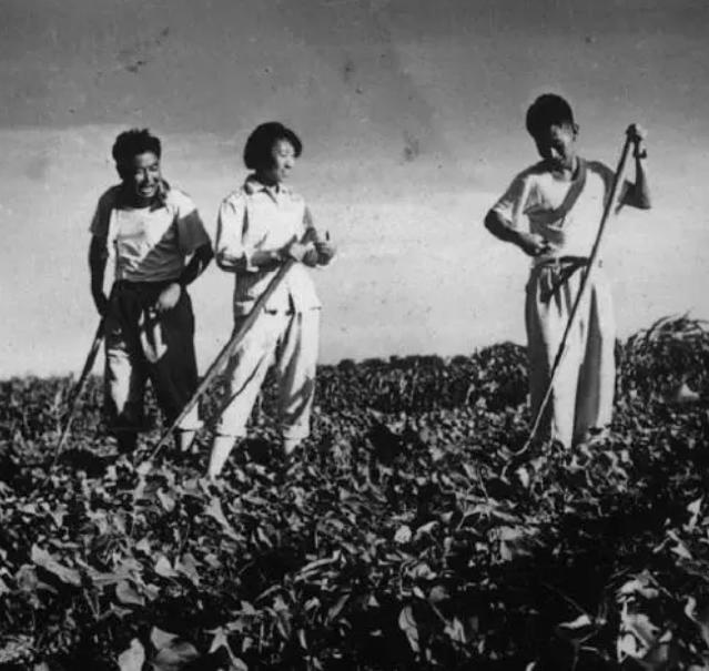 上世纪50年代，给毛主席点烟的女知青，如今怎么样了？