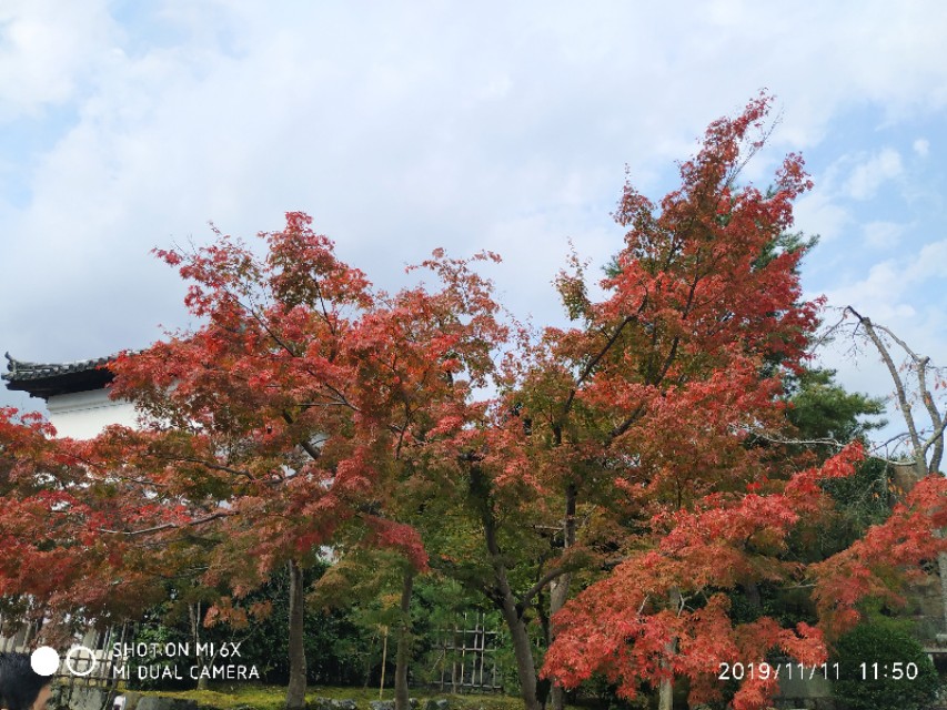 3月底日本关西8日游攻略,日本关西旅游攻略七日游
