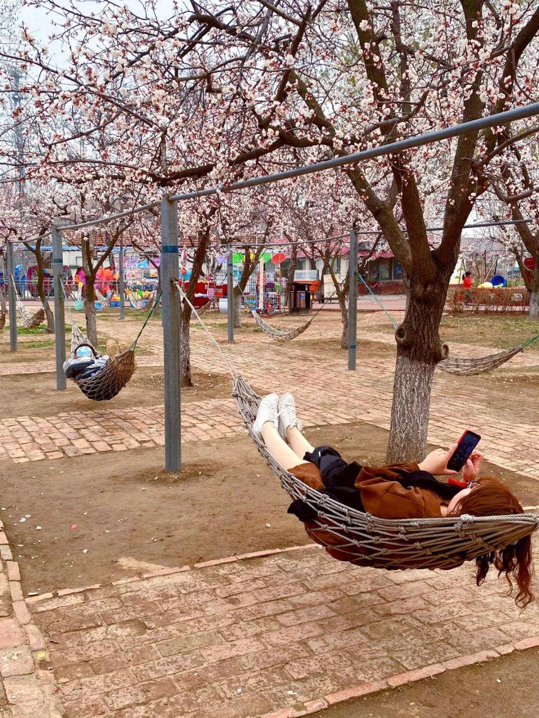 聊城姜堤乐园的门票是多少钱,姜堤乐园玻璃桥