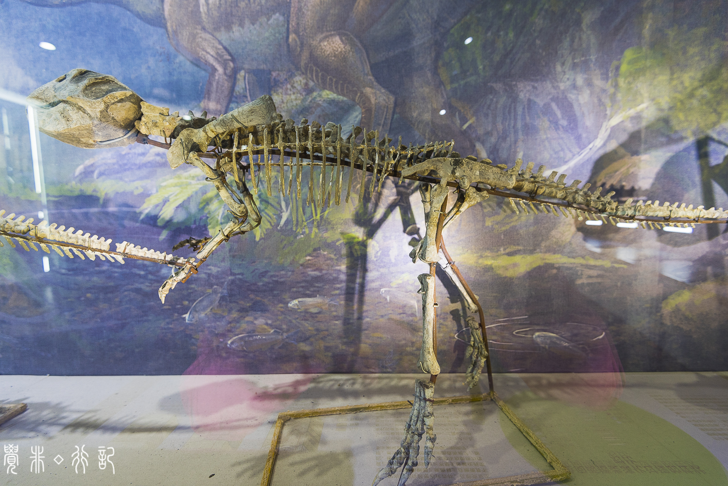 莱阳白垩纪国家森林公园,莱阳白垩纪公园