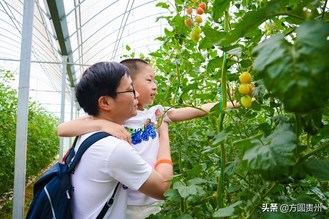 这个夏日，看这个美女如何在浙江乌村的第一百种玩法