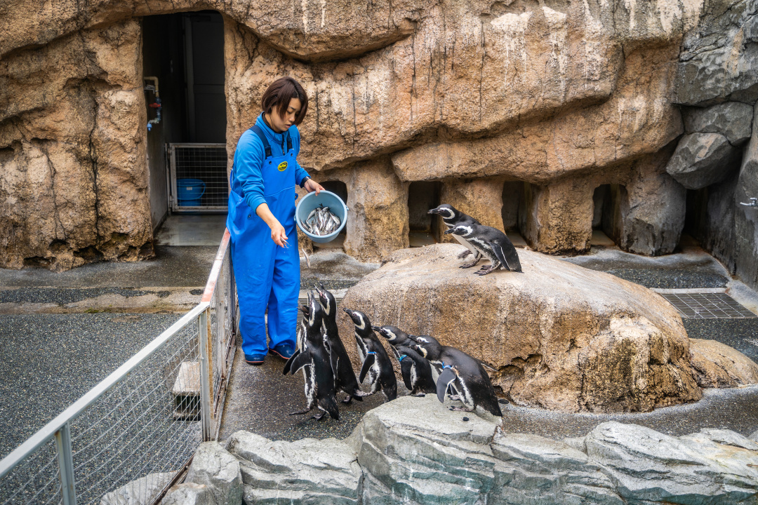 日本九州|一个被温泉唤醒的秘境，超超超小众的日本旅行目的地