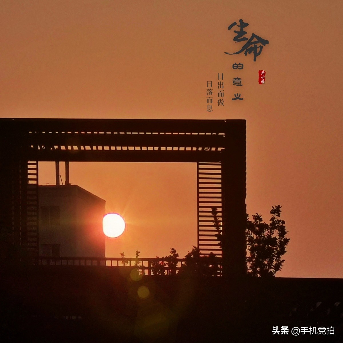 手机拍照逆光解决方法,手机拍照逆光怎么避免过曝