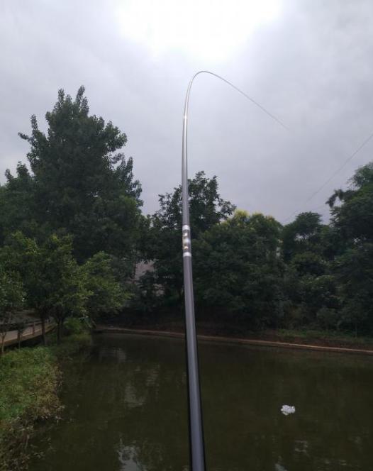 新手选鱼竿怎么选,新手怎么选鱼竿最合适