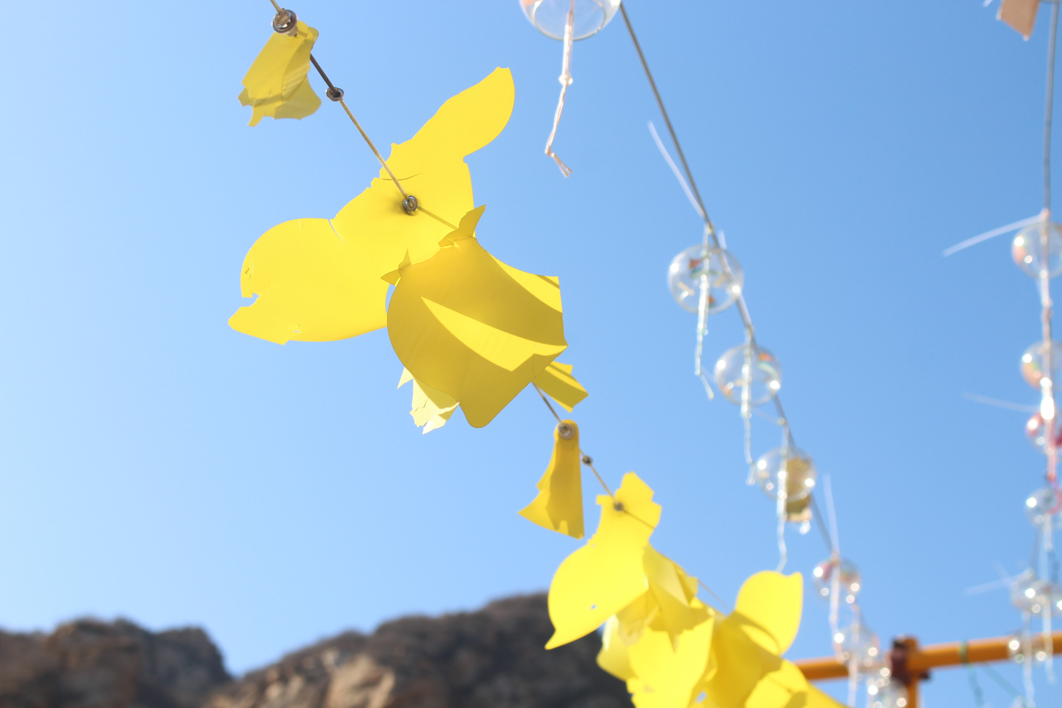 北京黑龙潭冰瀑攻略,北京夏日黑龙潭一日游详细攻略