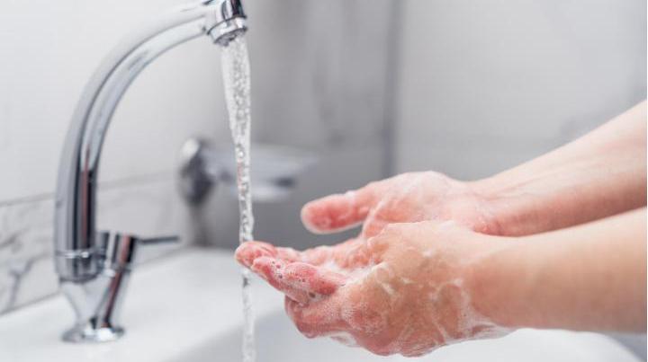 食神供应链管理厦门,上海食神供应链管理