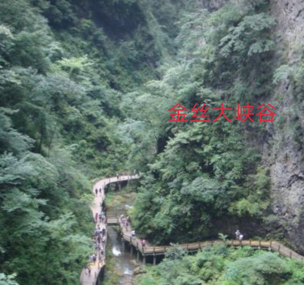 商洛人民的陕西美食,商洛人家乡味美食记录