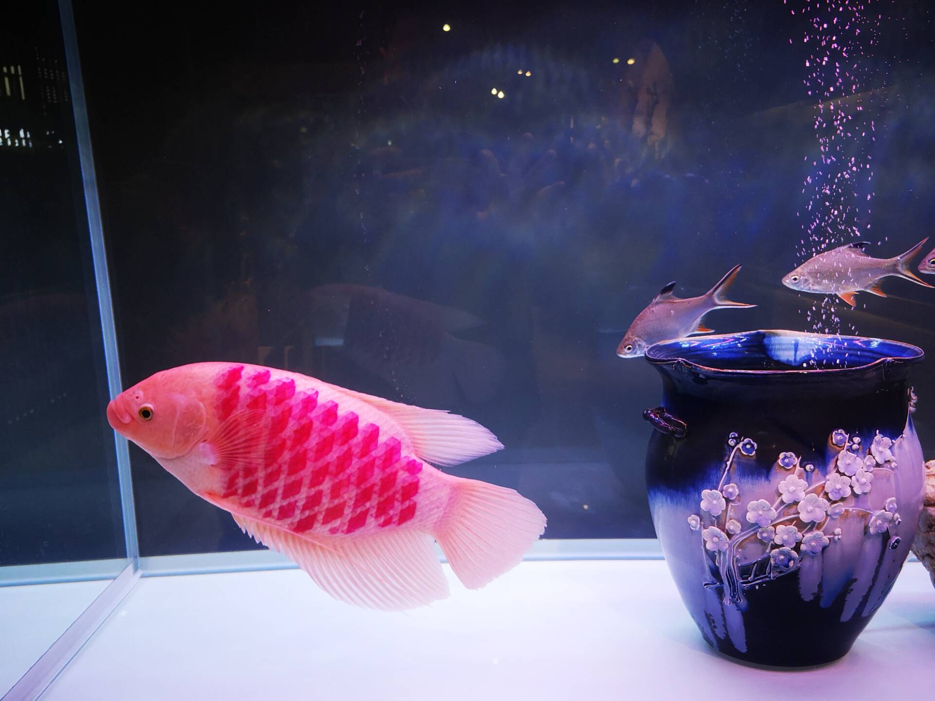 水质有点黄怎么处理,水质黄浊怎么处理最好