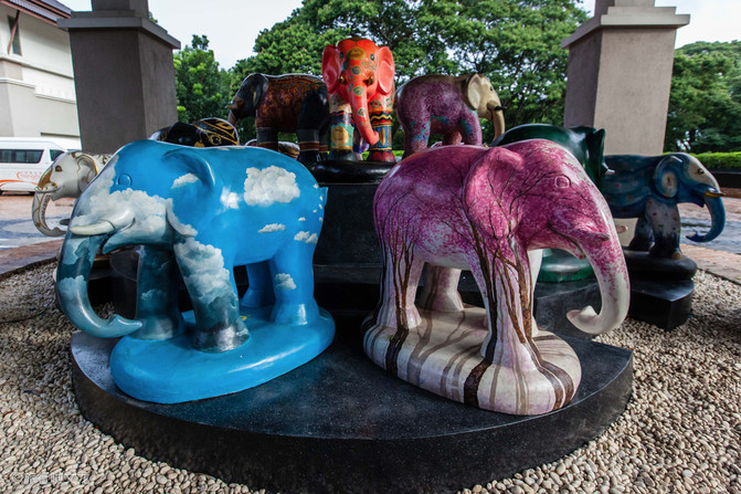 泰国清迈清莱四晚五天旅游游记,泰国清迈清莱旅游游记