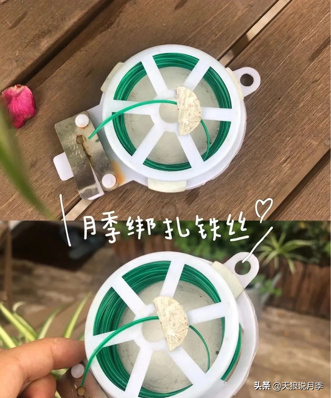 怎么打造露台小花园,如何打理自己的露台小花园