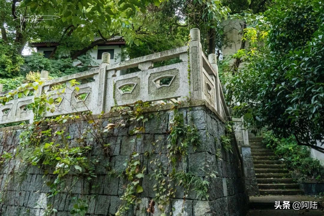 杭州第一街河坊街,杭州河坊街最繁华